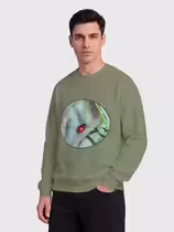 Листоед гладкий