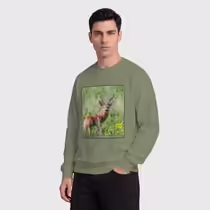 Сибирская косуля