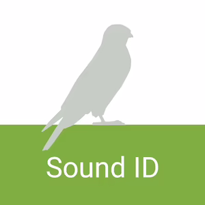 Скриншот главного экрана Merlin Bird ID