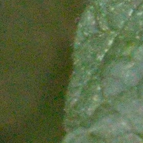ISO3200, std raw denoise