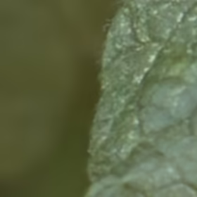 ISO3200, AI raw denoise