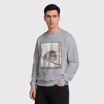 Зимний воробей