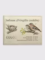 Зяблик (Fringilla coelebs)