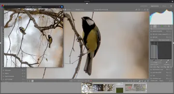 Скриншот darktable c дополнительным окном просмотра