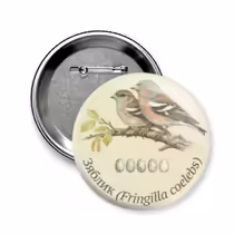 Зяблик (Fringilla coelebs)