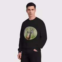 Сибирская косуля