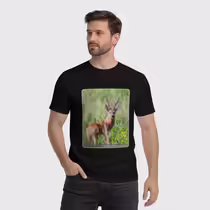 Сибирская косуля