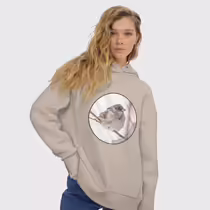 Зимний воробей