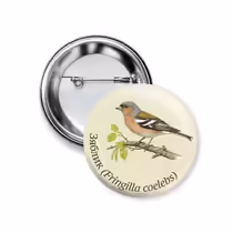 Зяблик (Fringilla coelebs)
