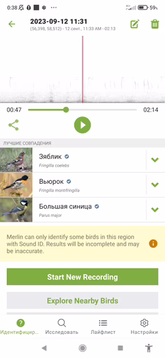 Скриншот записи