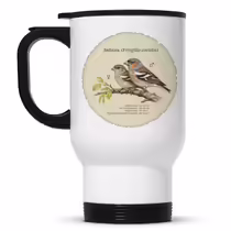Зяблик (Fringilla coelebs)