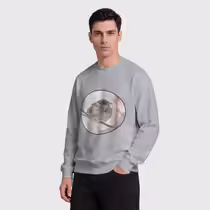 Зимний воробей