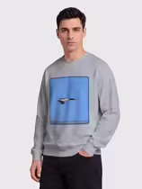 Большой крохаль