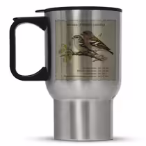 Зяблик (Fringilla coelebs)
